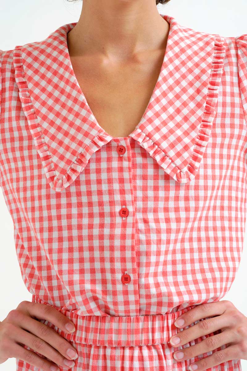 Red and White Gingham Shirt