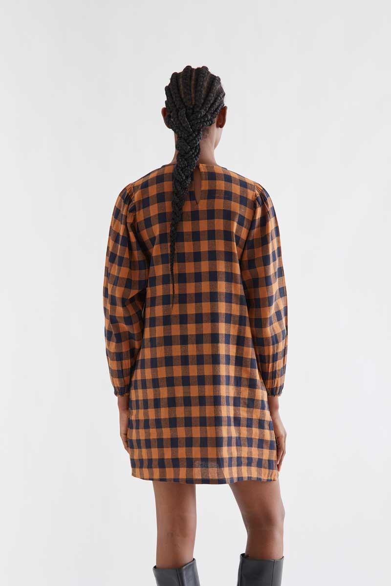 Brown and Navy Check Dress