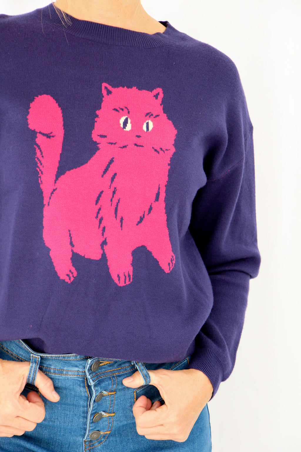 Blue Jumper with Pink Cat.