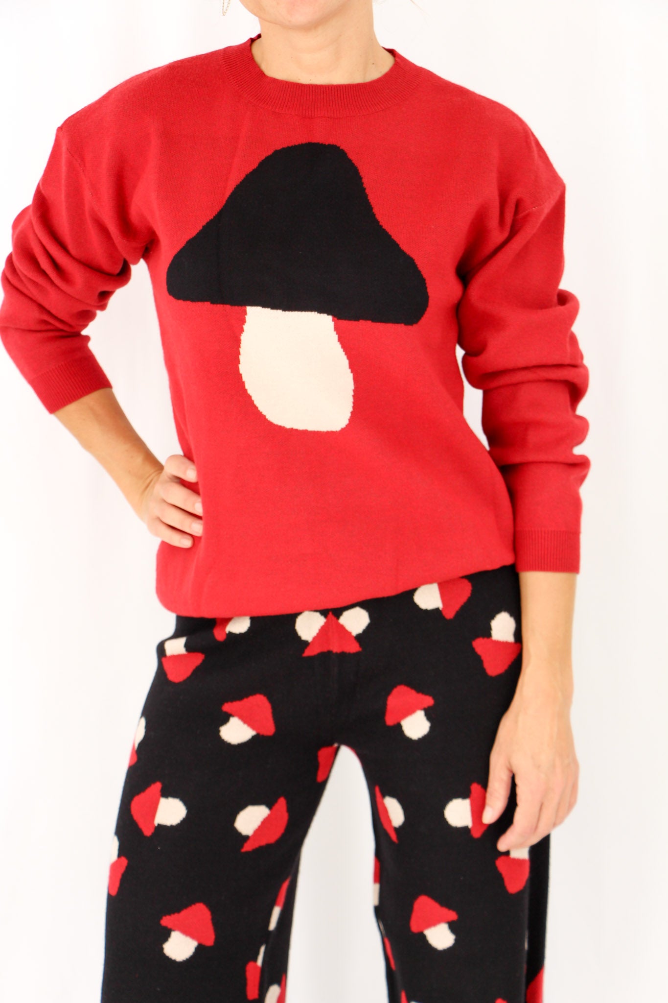 Red Jumper with Mushroom.